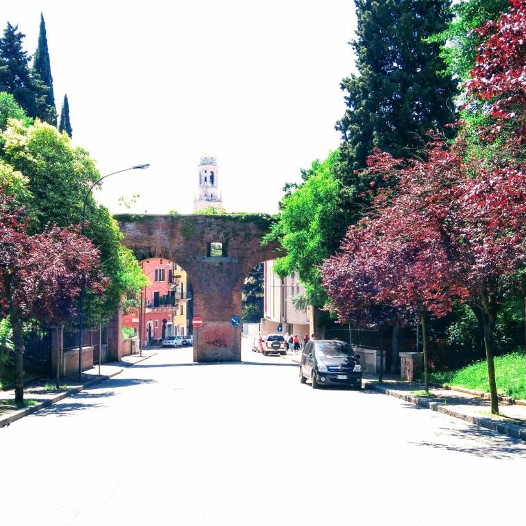 Across the River and Into the Trees - Appartamento con 1 Camera da Letto - 10