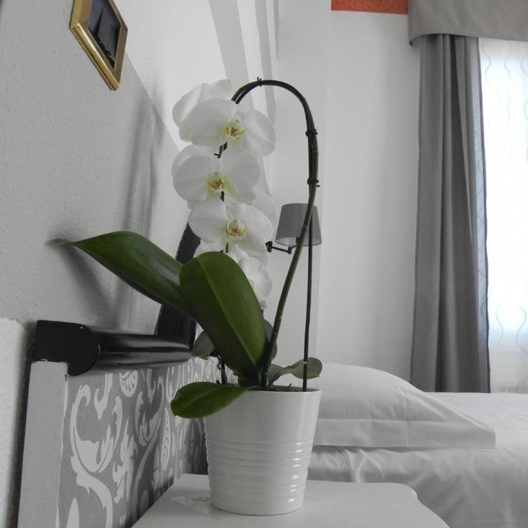 Hotel Helios - Camera Matrimoniale/Doppia con Letti Singoli con Vista Mare - 8