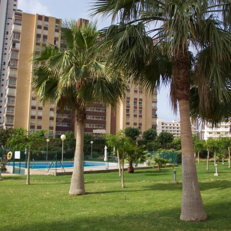 Apartamento Parque Torresol - Apartamento - 3