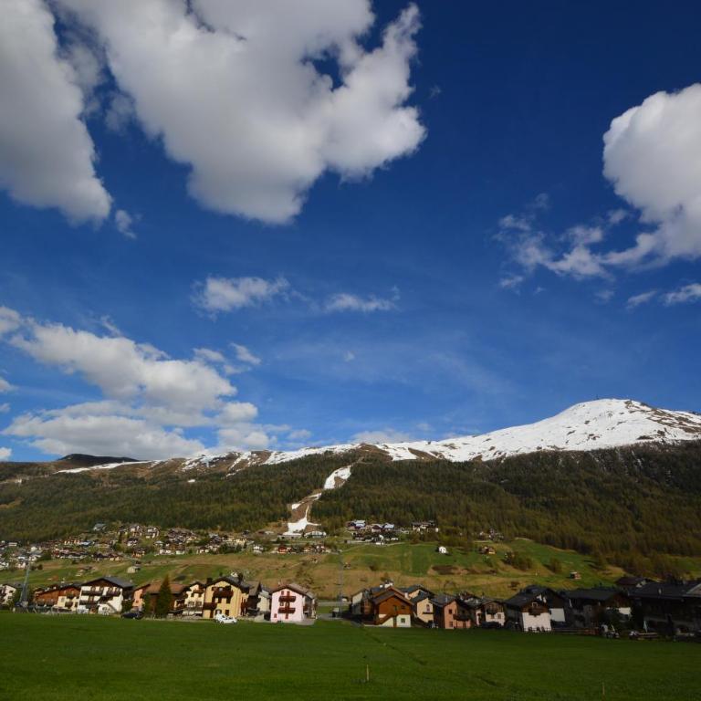 Mountain Chalet Milly - Appartamento con Vista Giardino - 66
