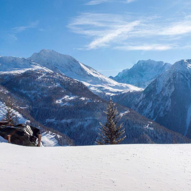 Chalet Gerbera - Appartement avec Vue sur la Montagne - 7