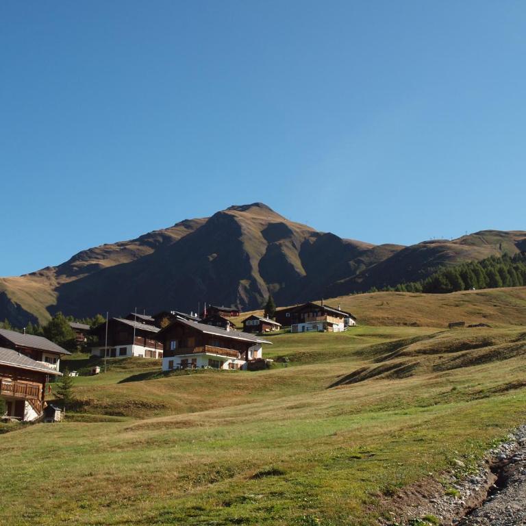 Chalet Gerbera - Appartement avec Vue sur la Montagne - 12