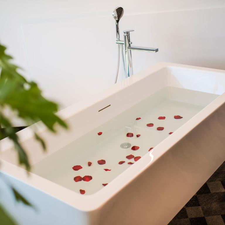 Garni Hotel Katzenthalerhof - Suite con Terrazza - 4