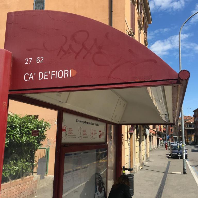 Procaccini Apartment - Appartamento - 19