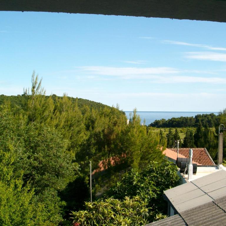 Apartmani Rakic - Apartman na Više Nivoa - 15