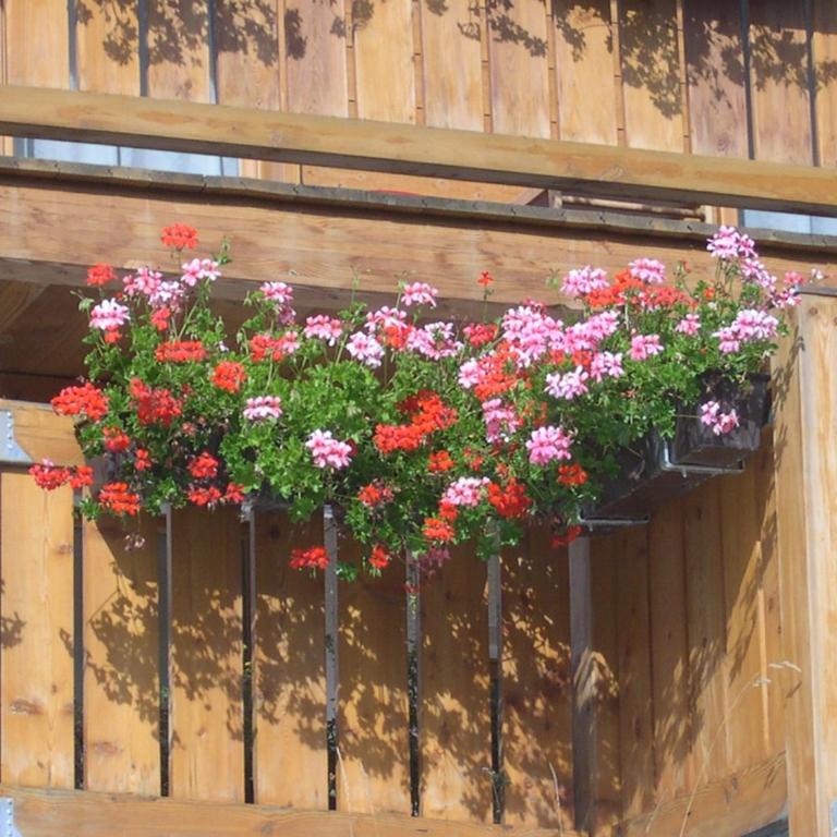 Chalet Z`Wichjehüs - Apartment mit 2 Schlafzimmern und Panoramablick - Dachgeschoss - 17