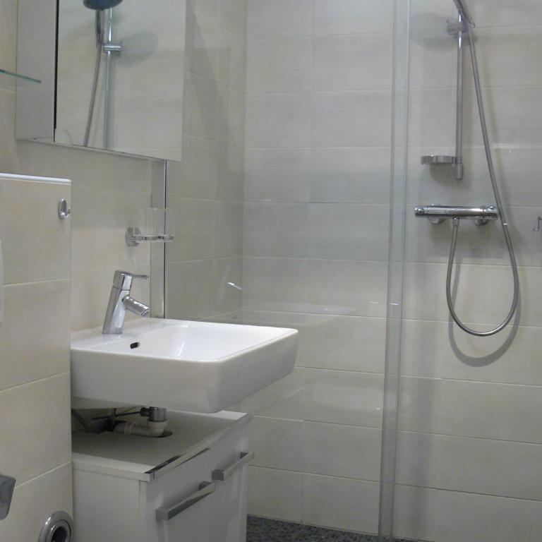 Alpenappartements Domicil include JOKER CARD - Apartamento Estudio - 8