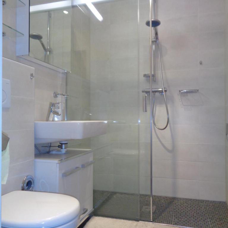 Alpenappartements Domicil include JOKER CARD - Apartamento Estudio - 9