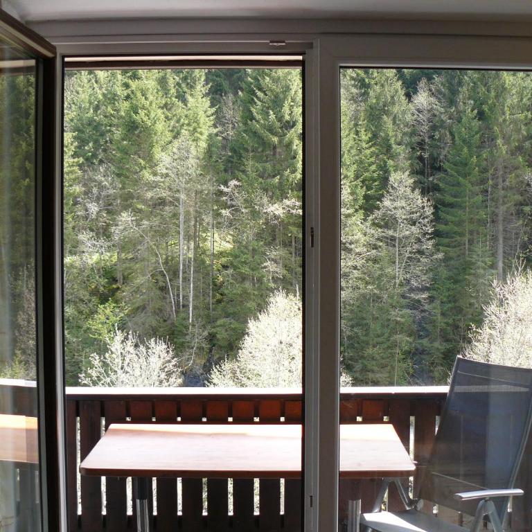 Alpenappartements Domicil include JOKER CARD - Apartamento Estudio - 11