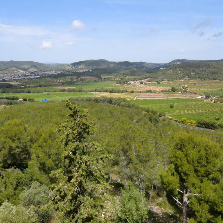 Buenavista Apartment - Apartamento con vistas a las montañas - 20
