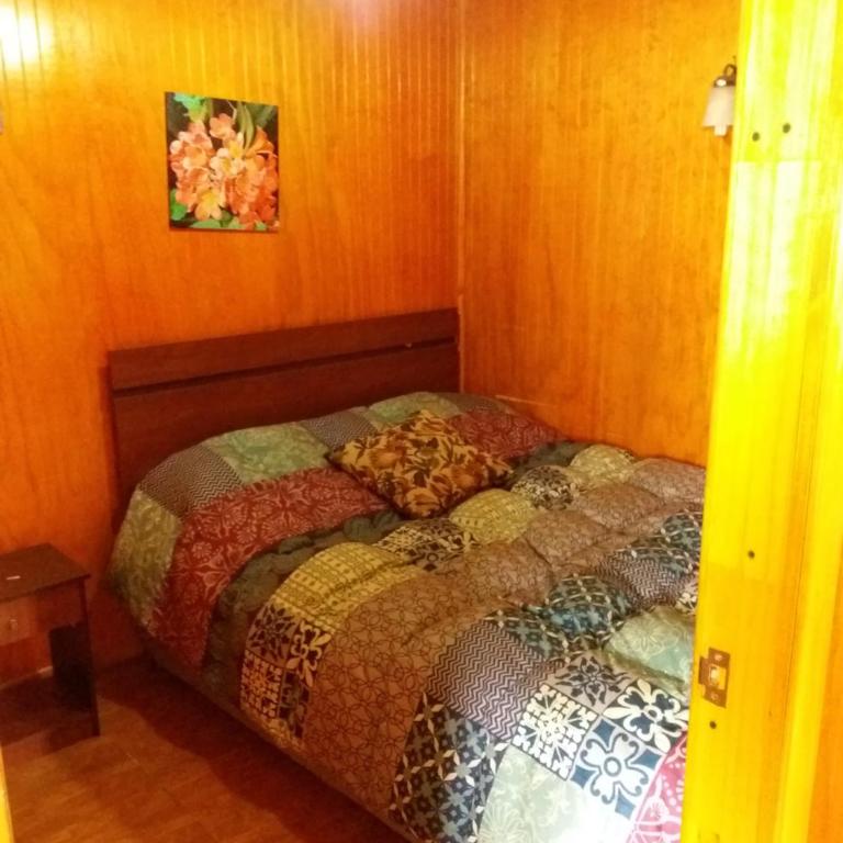 Puelche de Antuco - Apartamento con ducha - 3
