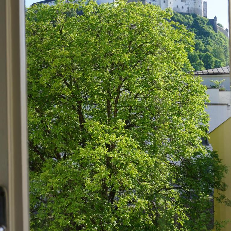 Sarah's Altstadt Oase Salzburg - Deluxe Zimmer mit Flussblick - 8