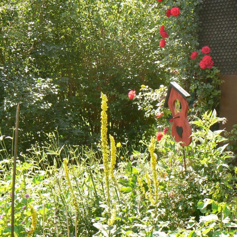 Ferienhof Hiemer - Apartment - 20