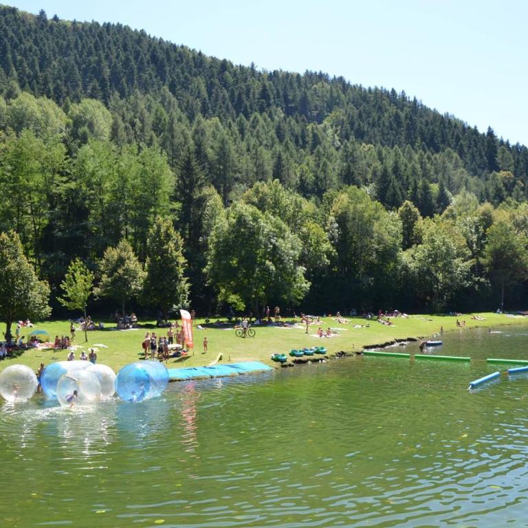 Chalet les Gentianes - Chalet (9 Personnes) - 12