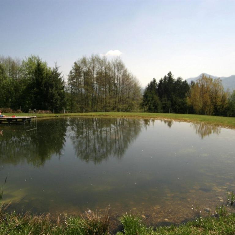 Apartment in Bleiburg in der Nähe Skigebiets - Apartment mit 2 Schlafzimmern - 22