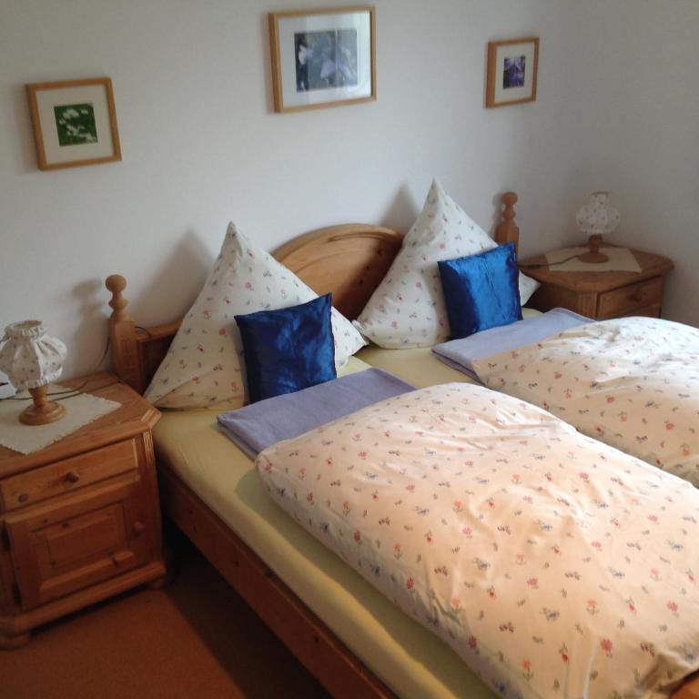 Ferienwohnungen Hölzl - Apartamento con balcón - 1