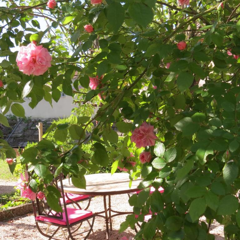 Le Jardin - Chambre Double - Vue sur Jardin - 2