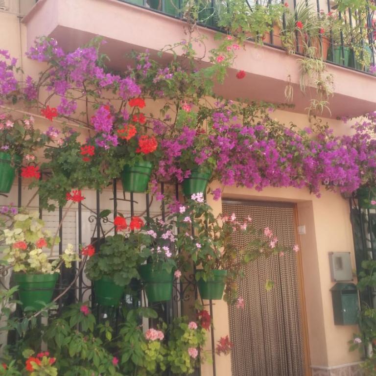 Puerto Deportivo Estepona - Apartamento con vistas al mar - 63