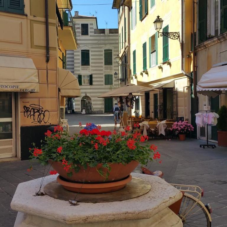 La Merlettaia - Appartamento - 1