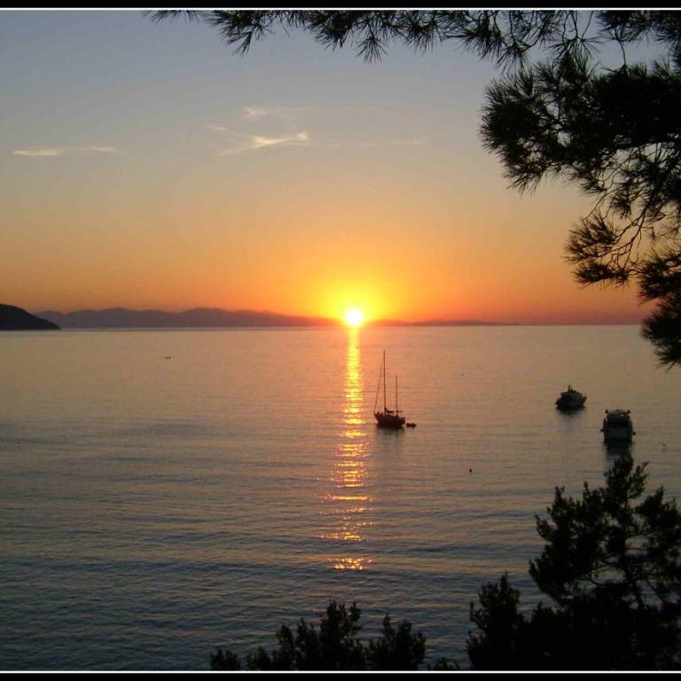 Hotel Viticcio - Camera Superior Matrimoniale/Doppia con Letti Singoli - Fronte Mare - 6