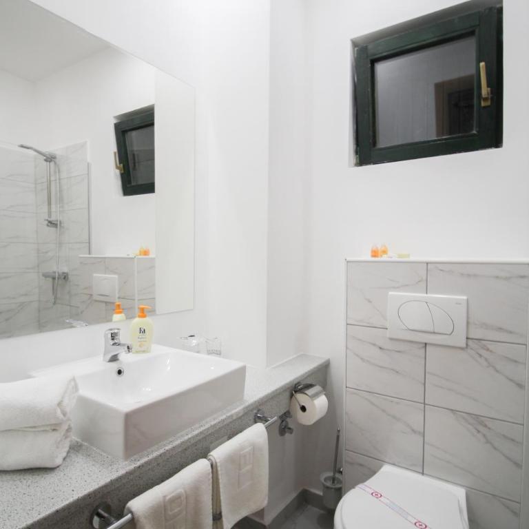 Hotel Danica - Dvokrevetna Soba sa Bračnim Krevetom i Balkonom (2 Odrasle Osobe + 1 Dete) - 7