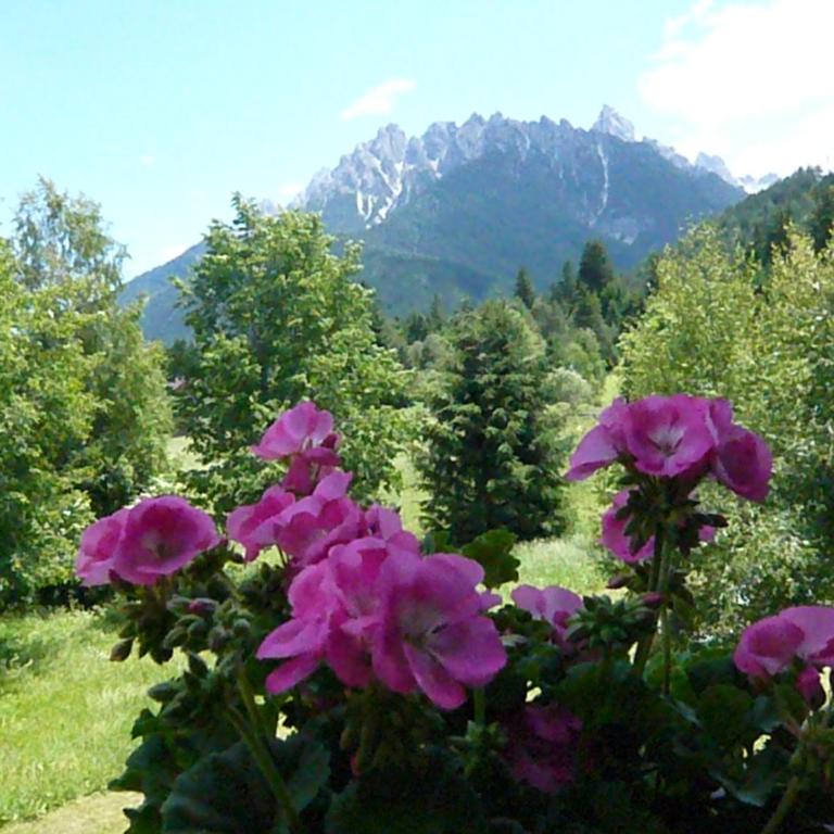 B&B Hotel Heidi - Camera Matrimoniale con Balcone - 7
