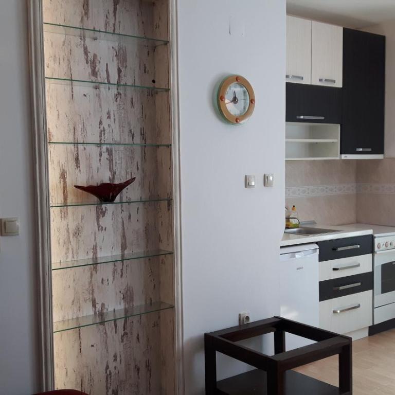 Spasic Apartment - Apartment with Terrace - 2
