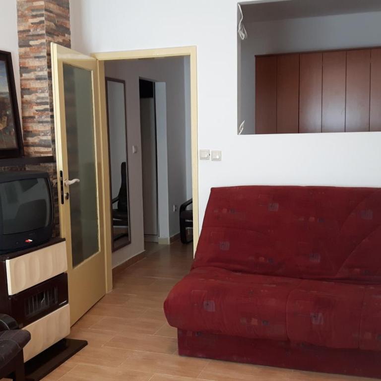 Spasic Apartment - Apartment with Terrace - 10
