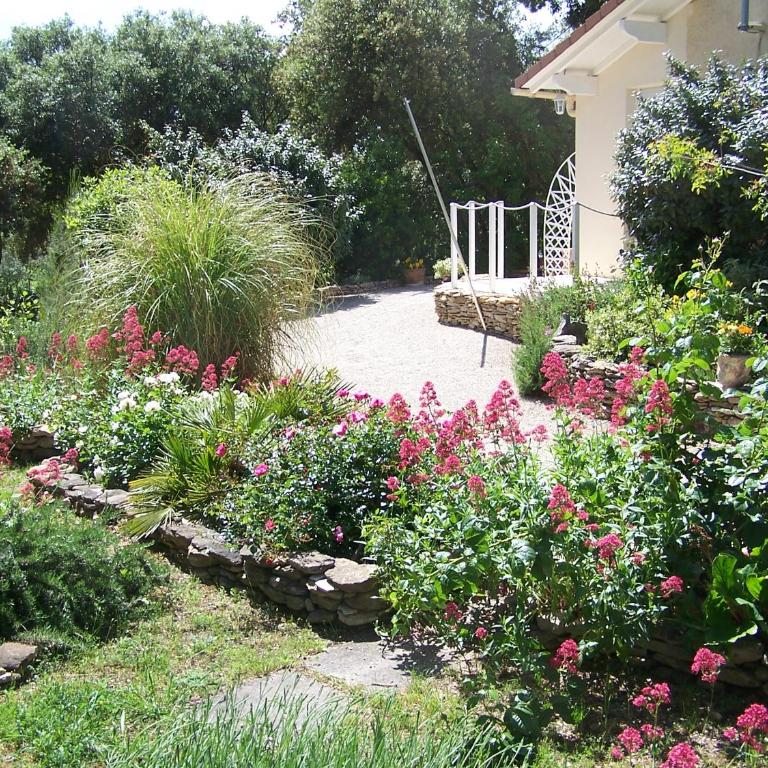 Les Florides - Appartement - Vue sur Jardin - 1