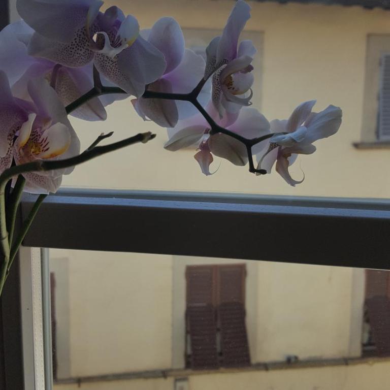 Sweet Tuscany - Appartamento con 2 Camere da Letto - 38
