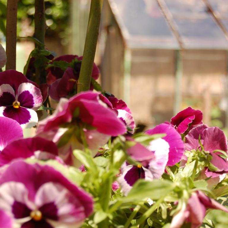 Madeleine Bergerac - Chambre Double - Vue sur Jardin - 44