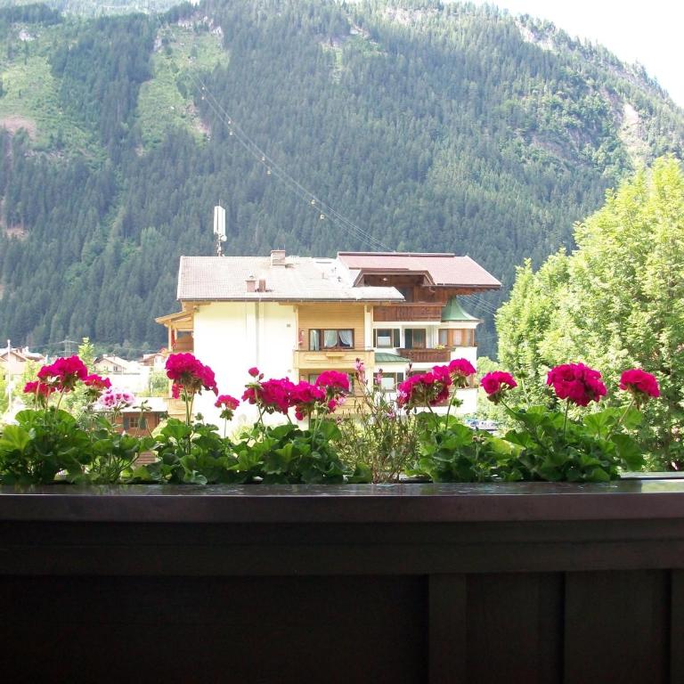 Gästehaus Tramnitz - Doppelzimmer - 10