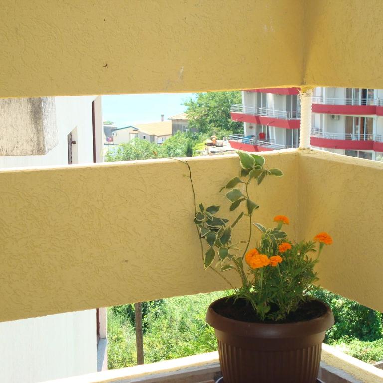 Apartments Cejovic - Apartman sa 1 Spavaćom Sobom - 8