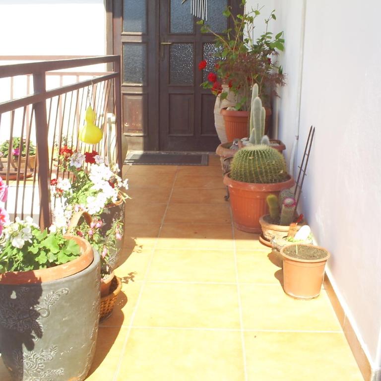 Apartmani Dado - Apartman s Jednom Spavaćom Sobom - u Potkrovlju - 7