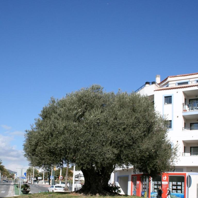 Appartement Monica - Two-Bedroom Apartment - 28