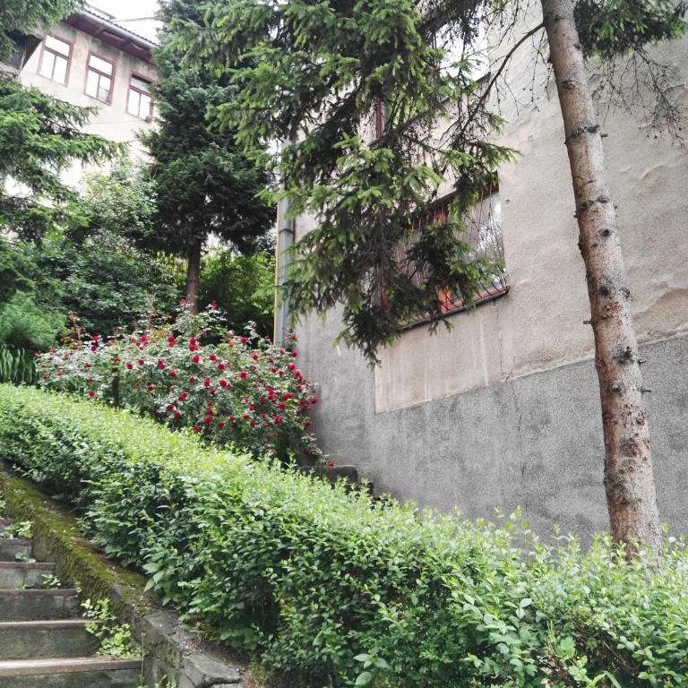 Tarhana Apartment Old Town - Two-Bedroom Apartment - 19