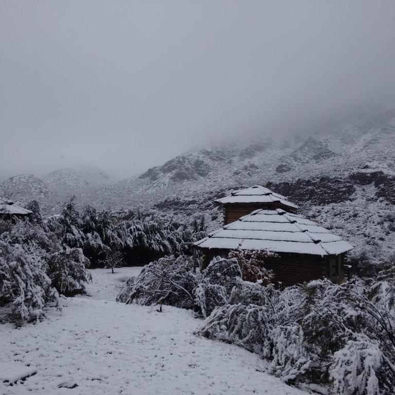 Mendoza Sol y Nieve - Loft - 2
