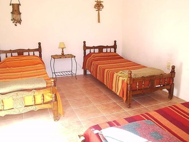 Casas de la Paloma - BUTIA - Casa de 2 dormitorios - 59