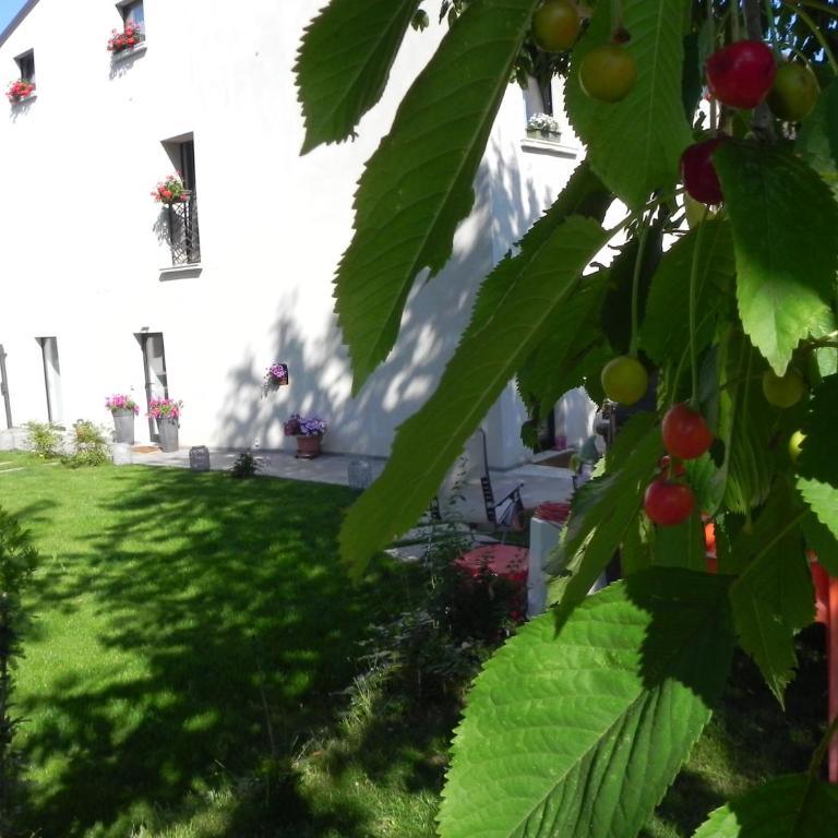 Villa Carlotta - Apartment - Ground Floor - 23