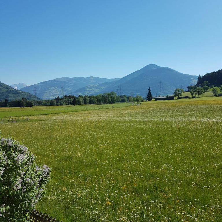 Appartement Reindl 2 Summer Card included - Apartment mit 3 Schlafzimmern - 20
