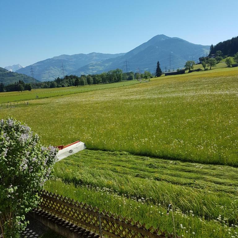Appartement Reindl 2 Summer Card included - Apartment mit 3 Schlafzimmern - 19