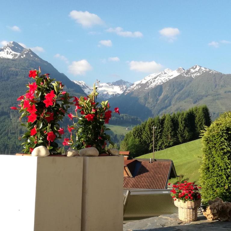 Haus Salzachblick - Apartment mit 2 Schlafzimmern und 2 Bädern - 9