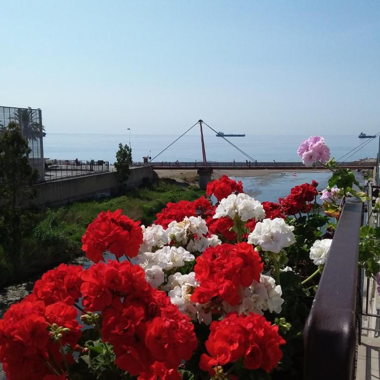 Savonaamare - Casa Vacanze - 1