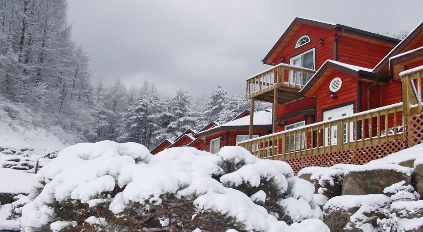 平昌 Sisilli Pension 3星级 民宿 大堂