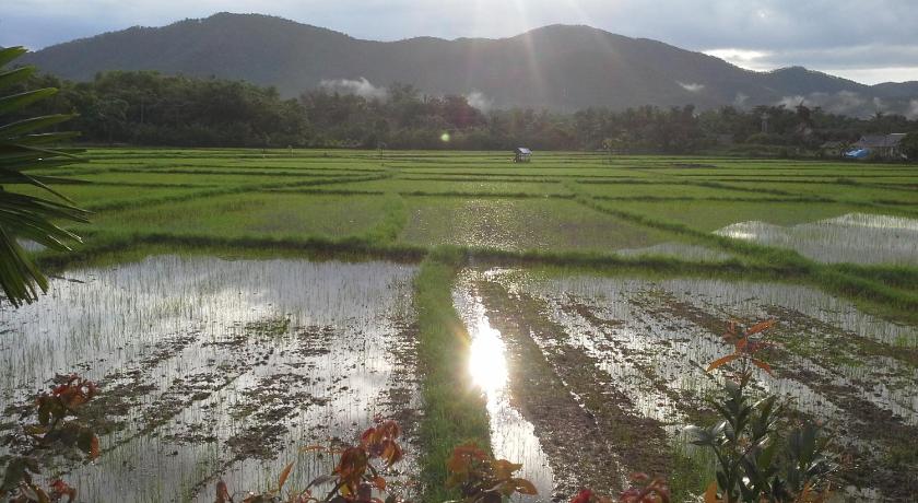 Jamjuree Garden – Chiang Mai, IA
