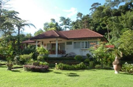 Image of Three-Bedroom Bungalow 8