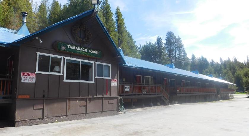 The Tamarack Lodge — Hotel in Lakeshore (CA)