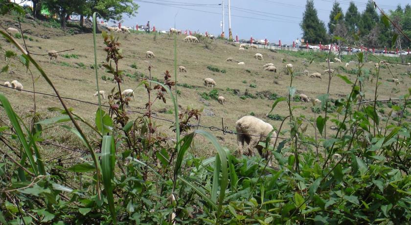 Winlu Vacation Farm photo