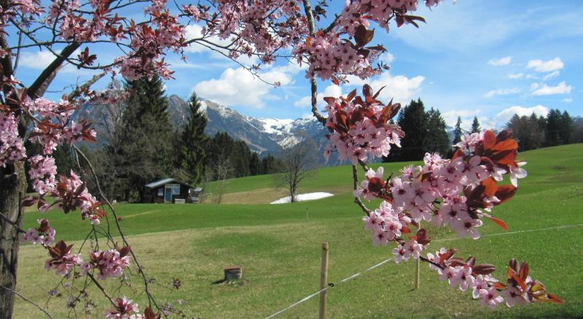 Gasthof Seeweg photo