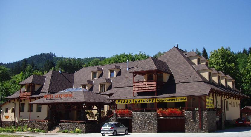 Hotel Altenberg — Hotel in Stare Hory